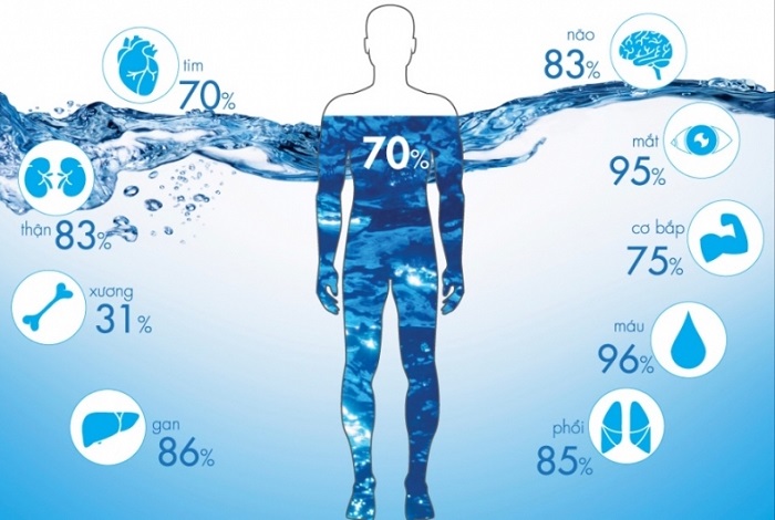 Nước chiếm đến 70% cơ thể con người