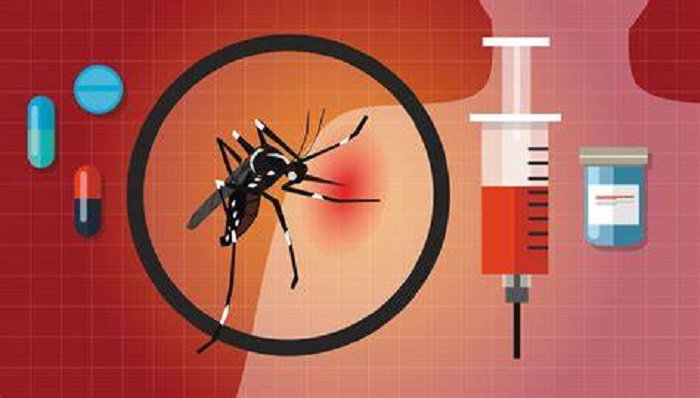 Căn bệnh sốt xuất huyết nguy hiểm đến tính mạng