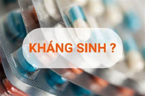 Thêm một loại thuốc cực kì quen thuộc đó là kháng sinh, khi mà các bệnh liên quan tới nhiễm khuẩn nằm trong mô hình bệnh tật chiếm tỉ lệ cao ở Việt Nam khiến nhu cầu kháng sinh cũng tăng theo